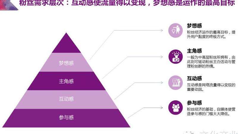包包今年的ins粉丝数：增长趋势与分析